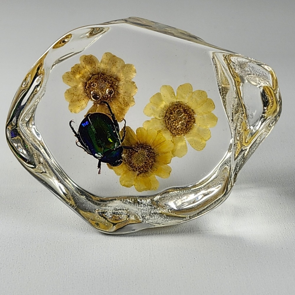 Real Green Flower Chafer Beetle iridescent Paperweight in Clear Resin